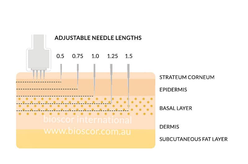 Dermastamp automated needle depth skin tissue bioscor international melbourne skin clinic