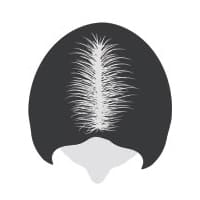 bioscor Ludwig